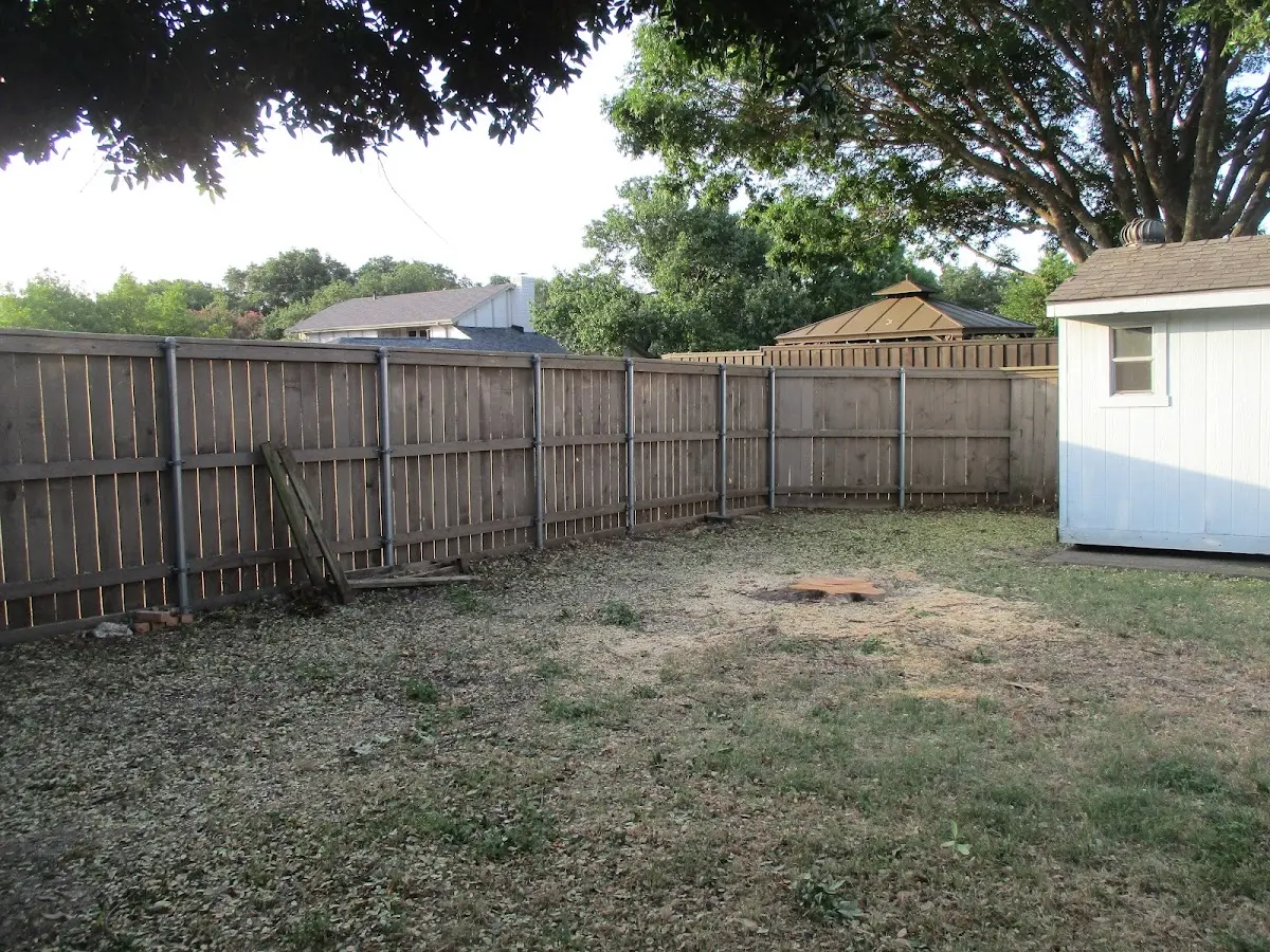 Cleared yard after professional tree removal in Millers Creek