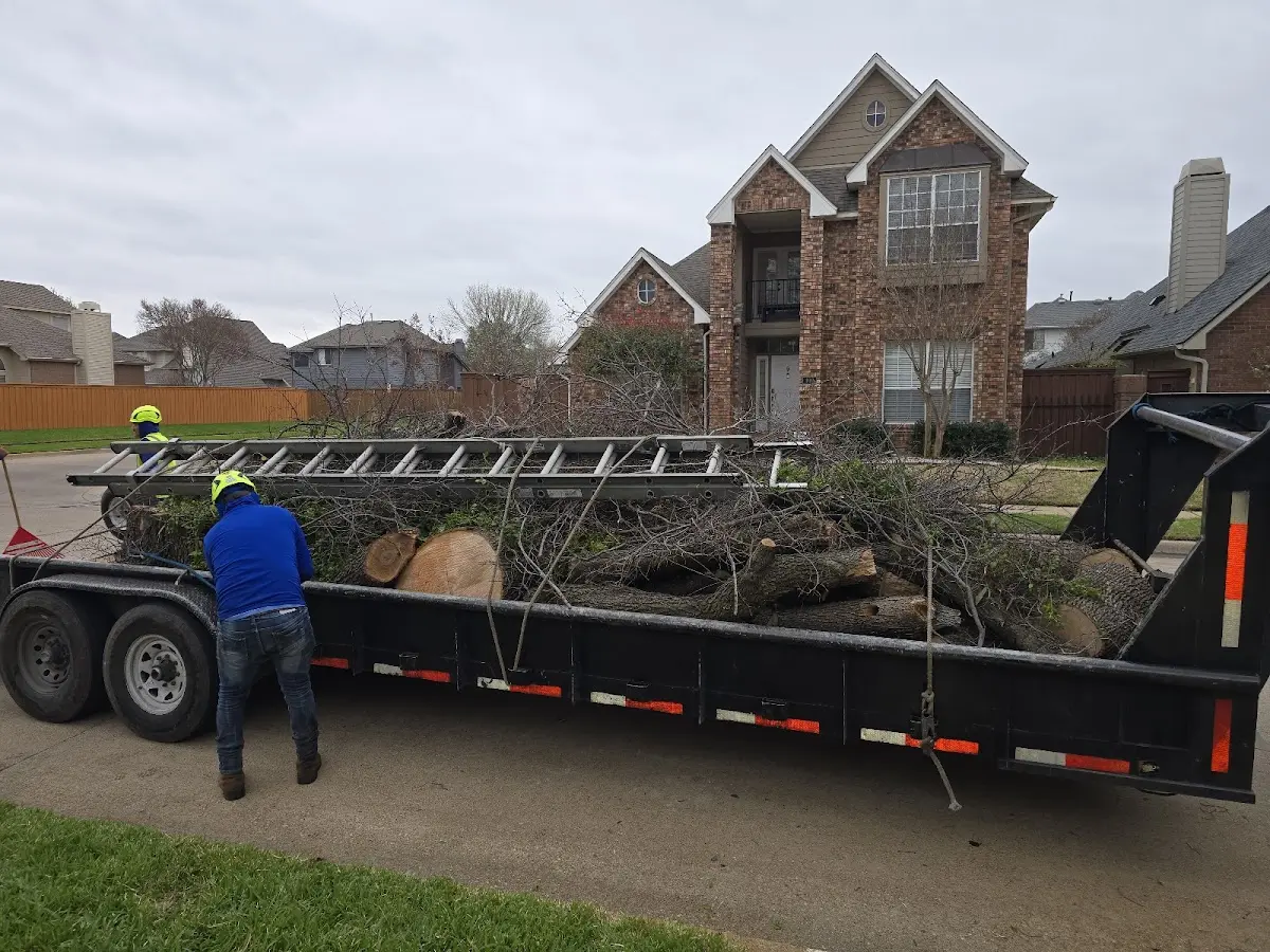 Expert Crown Reduction with proper safety equipment in Millers Creek
